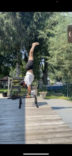 Customer photo review of Parallettes