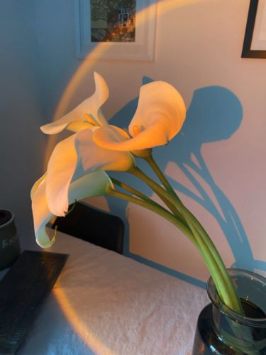 Customer photo review of The Sunset Lamp