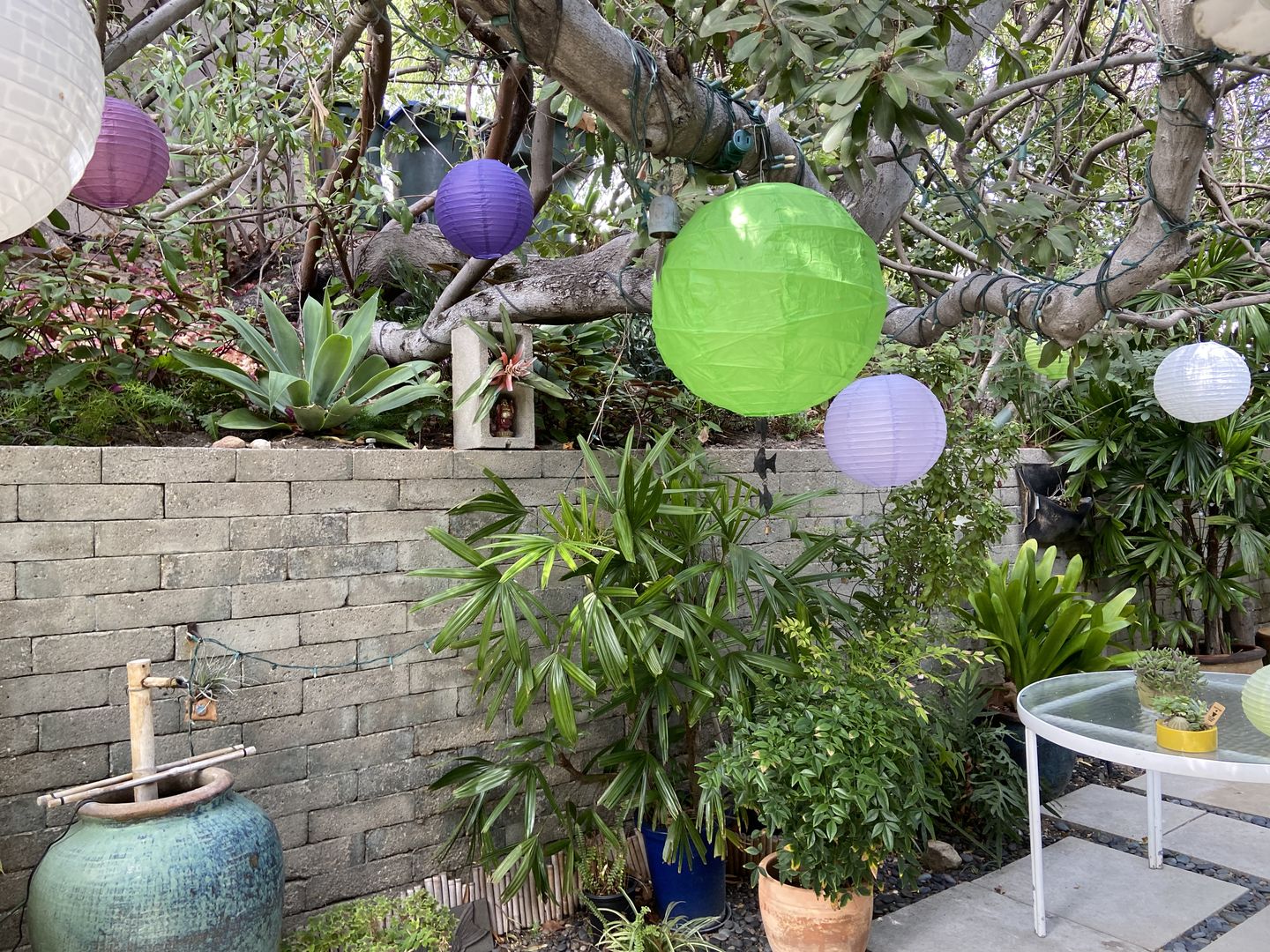 Customer photo review of Ultimate 20-Piece Purple Variety Paper Lantern Party Pack - Assorted Sizes of 6", 8", 10", 12" (5 Round Lanterns Each) for Weddings, Birthday, Events and Décor