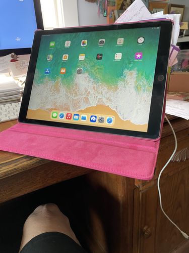 Customer photo review of Premium Leather iPad Case
