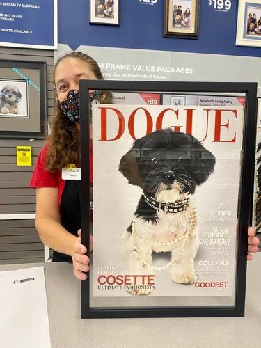 Customer photo review of Posing Pig Custom Print