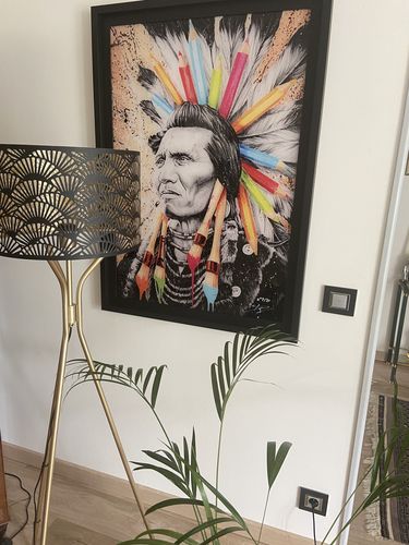 Customer photo review of "Indian colors" #13 Édition Prestige sur Plexiglas - Encadrement caisse américaine