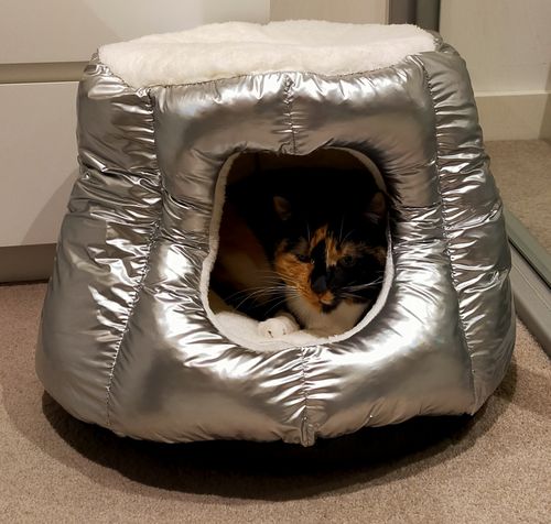 Customer photo review of ZEZE Capsule Warm House
