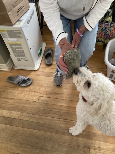 Customer photo review of K9 Essential Dry Herb Blend