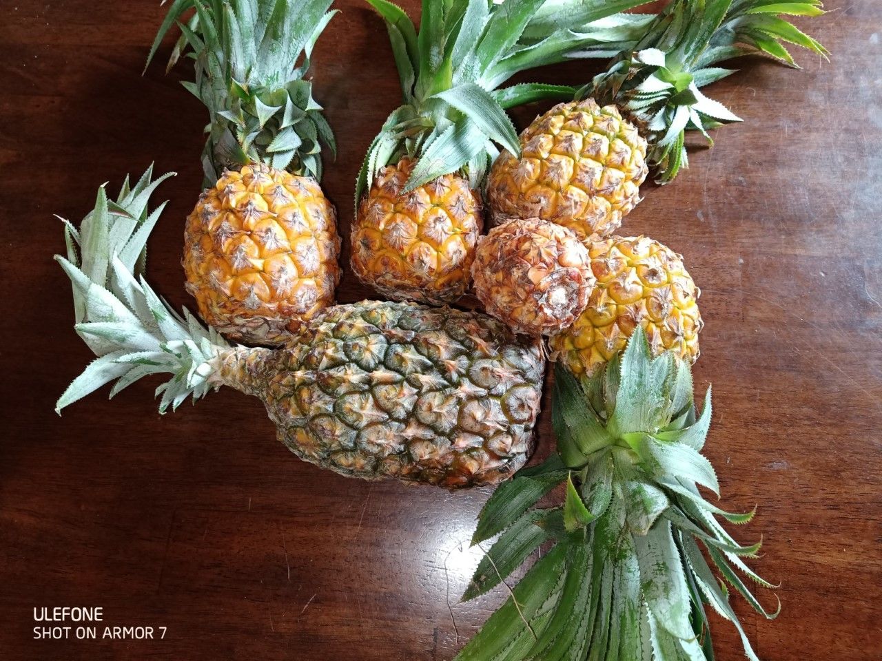 Customer photo review of Pineapple