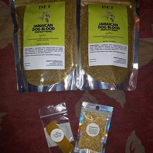 Customer photo review of Jamaican Dog Blood Herb (Fertility Bush)