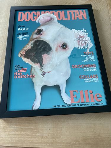 Customer photo review of Posing Pig Custom Print