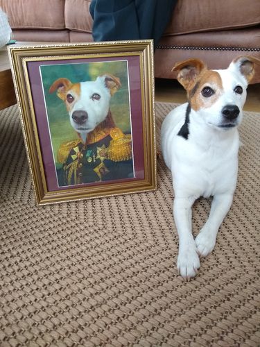 Customer photo review of The General - Custom Vintage Pet Portrait