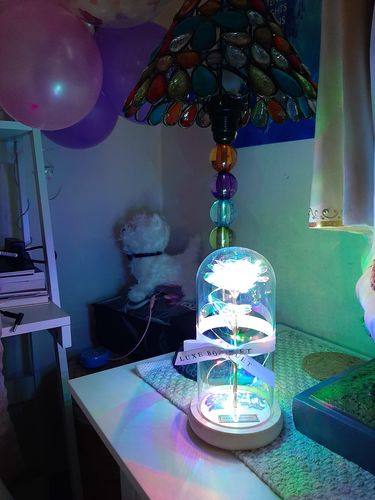 Customer photo review of Galaxy Enchanted Rose Dome