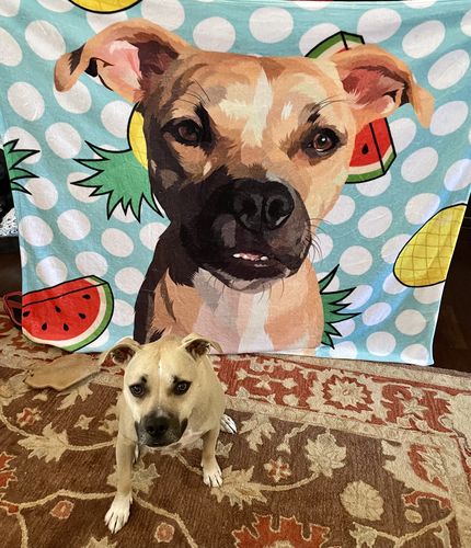 Customer photo review of Custom Pet Fleece Blanket