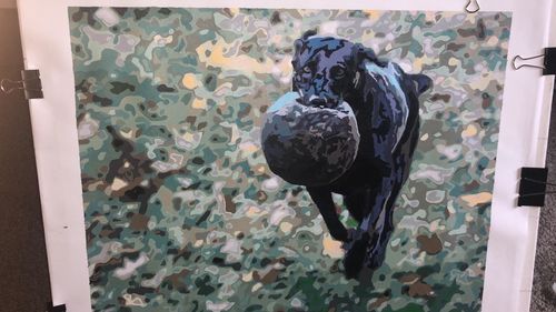 Customer photo review of Paint your photo