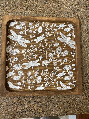 Customer photo review of Dragonflies - Mesh Stencil - 12x18