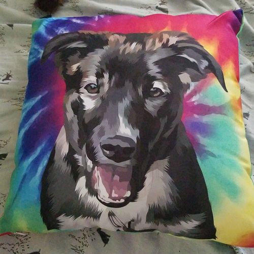 Customer photo review of Custom Pet Couch Pillow with Cover