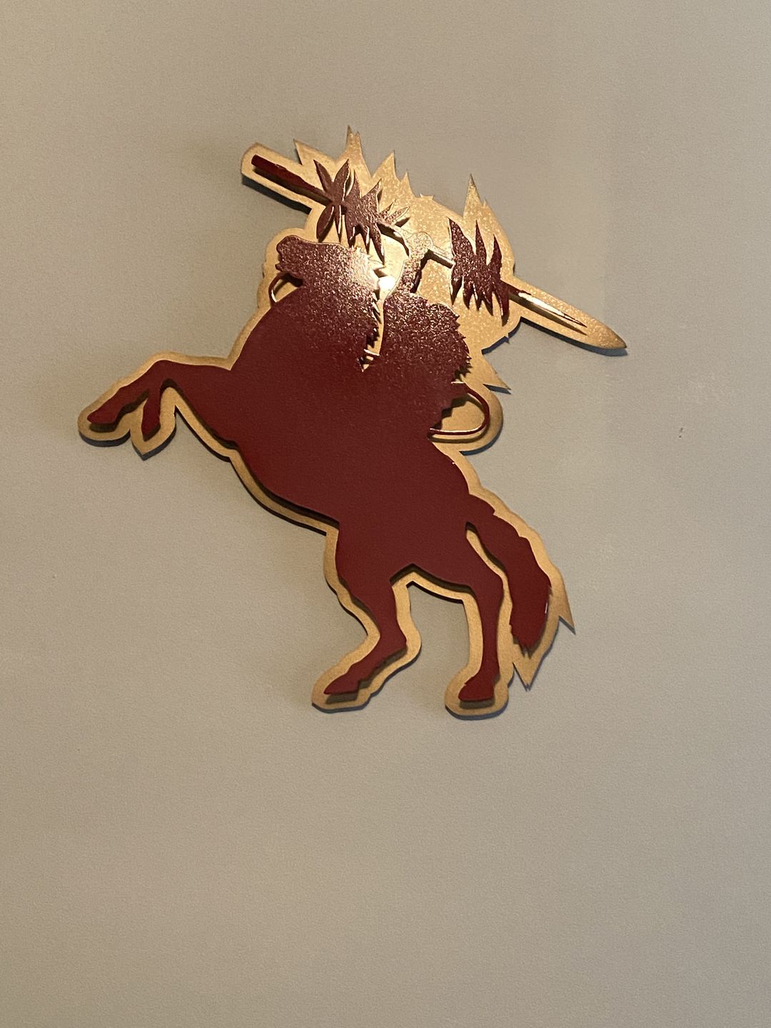 Customer photo review of Florida State Seminoles "Osceola and Renegade" 3D Metal Wall Art