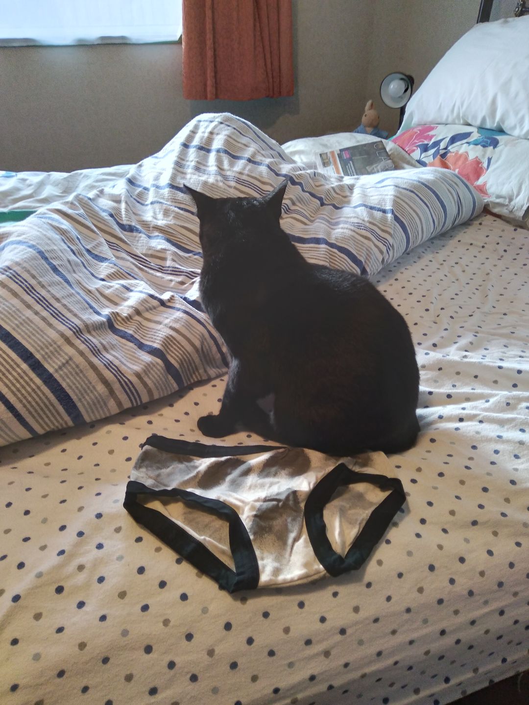 Customer photo review of Hipster Plain Black