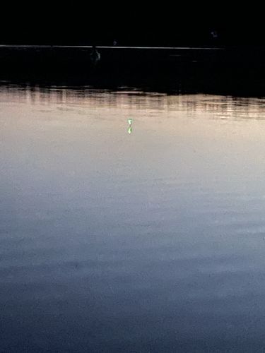 Customer photo review of 15g Smart Fishing Float