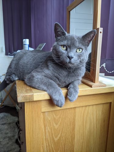 Customer photo review of Silber Lineart Love Halskette