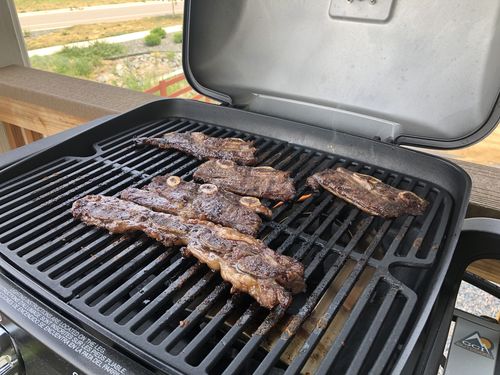 Customer photo review of Full Blood Wagyu Kababs