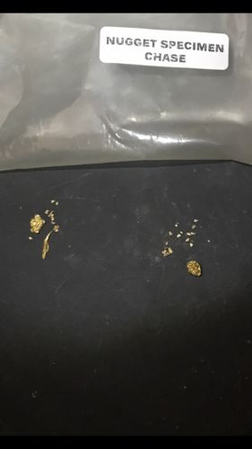 Customer photo review of Treasure Paydirt Surprise '300 GRAM GOLD HUNT' - Gold Paydirt Panning Concentrates