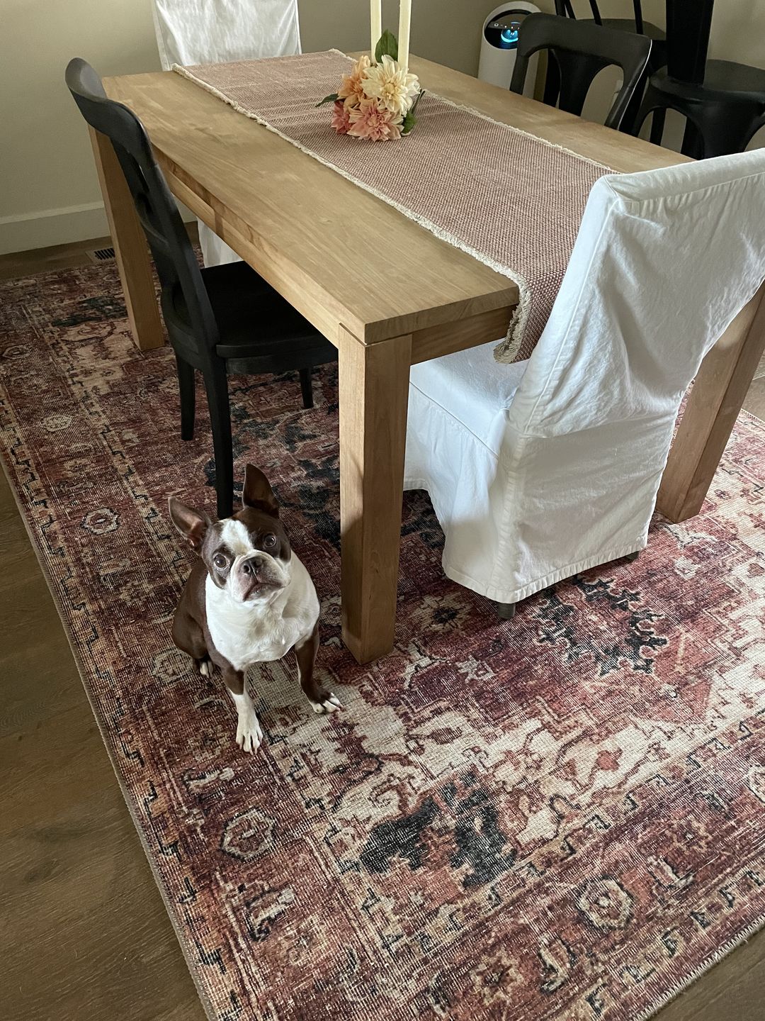 Customer photo review of Distressed Vintage Cezanne Terracotta Area Rug