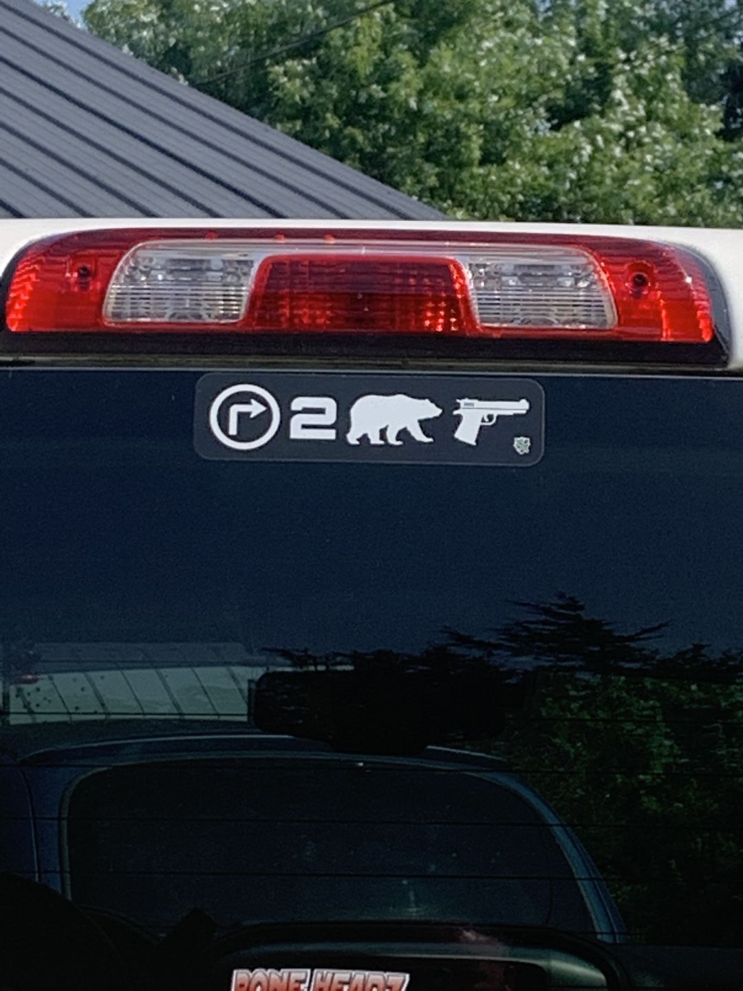 Customer photo review of Right 2 Bear Arms Decal