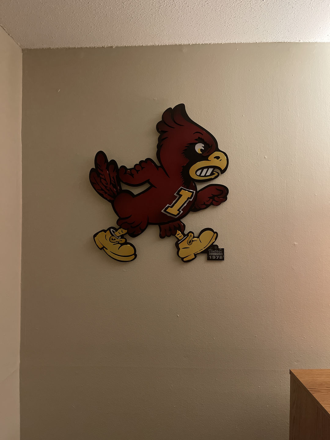 Customer photo review of Iowa State VAULT "CY" 3D Vintage Metal Wall Art