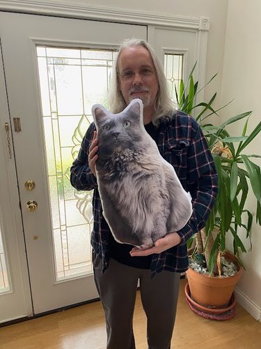 Customer photo review of Create A Custom Cat Pillow