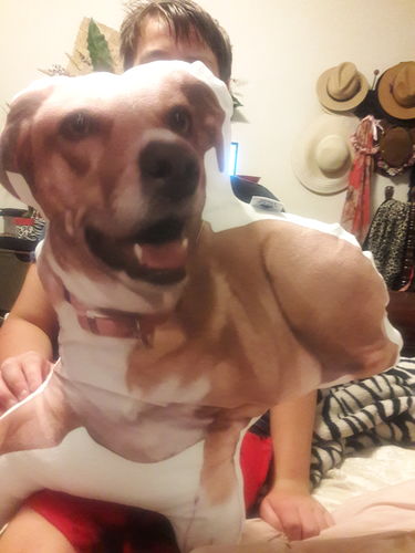 Customer photo review of Create A Custom Dog Pillow