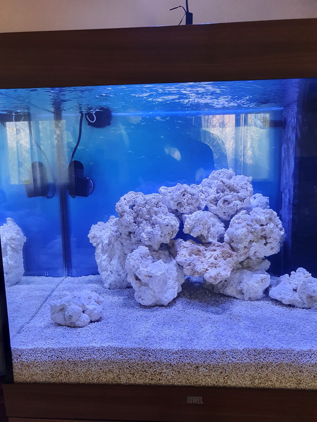 Customer photo review of Aquarium Lido 200 LED Brun Équipé JUWEL - 200L