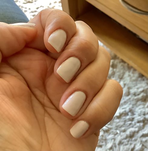 Customer photo review of Bluesky SS2007 Shopping Star