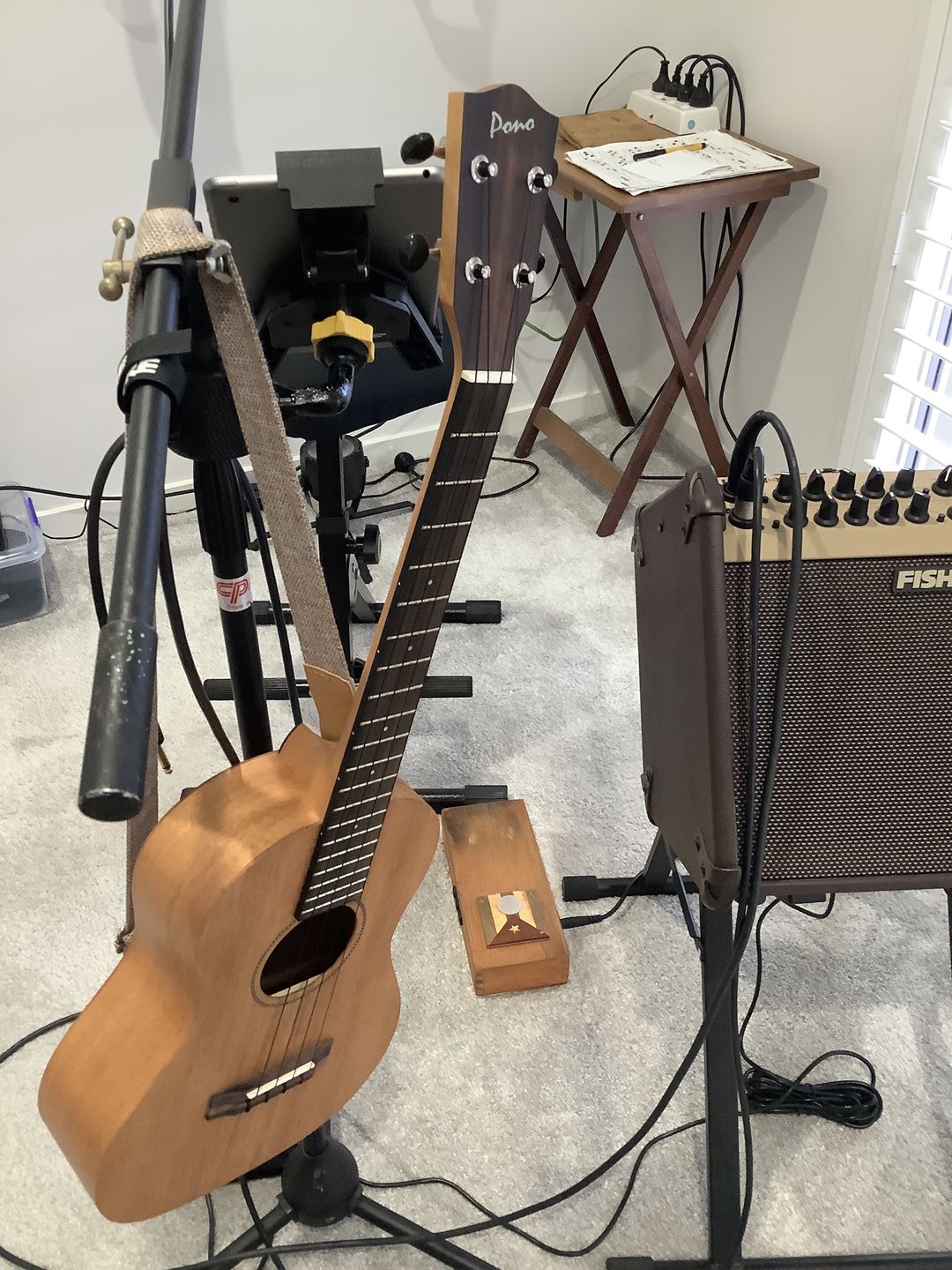 Customer photo review of BB Worth Brown Baritone Ukulele Strings DGBE Tuning Fluorocarbon 2 Restrings per Packet