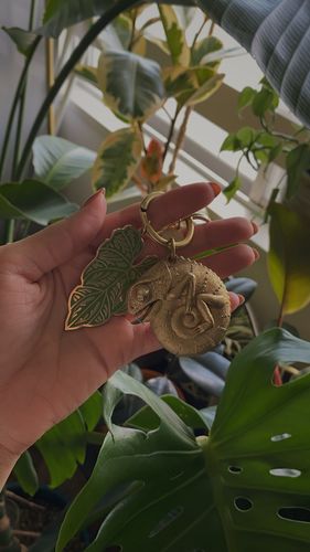 Customer photo review of Chameleon Tape Measure | Brass