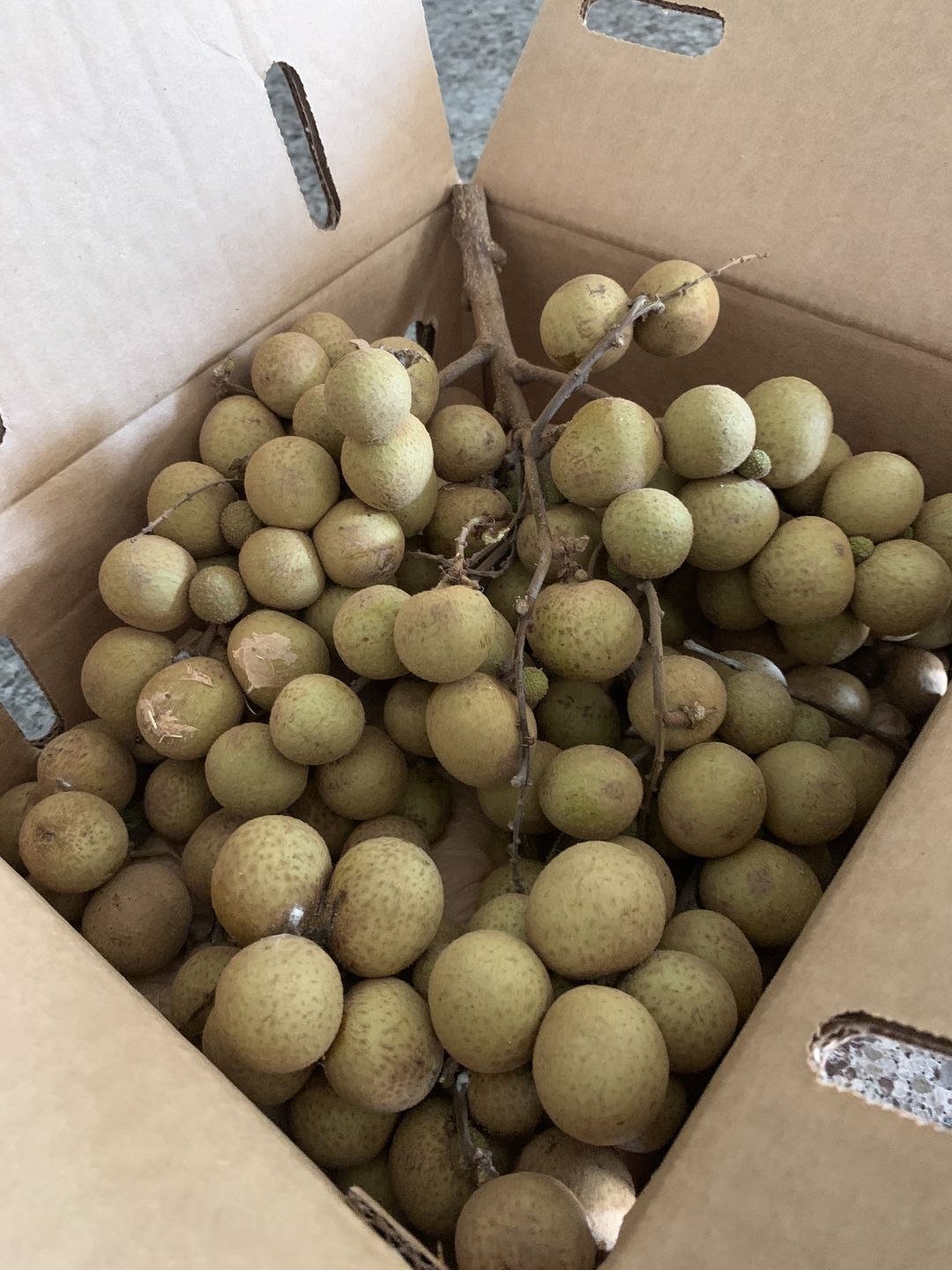 Customer photo review of Longan Box