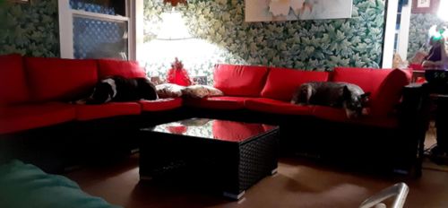 Customer photo review of 7 Pcs Patio Furniture Set All Weather Sectional Sofa w/ Red Cushion & Coffee Table
