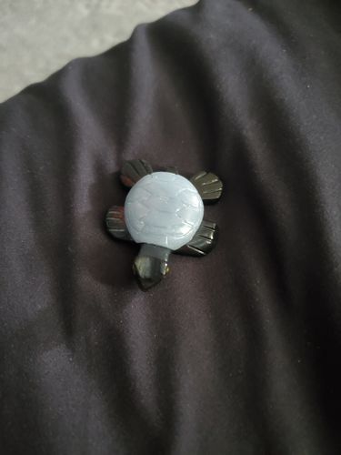 Customer photo review of Obsidian Turtle with Angelite Shell