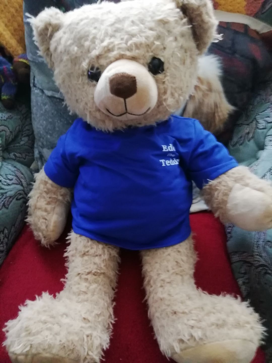 Customer photo review of Eddy The Teddy Keyring