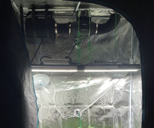 Customer photo review of AC Infinity Grow Tent Ventilation Kit Pro, 4 Inch