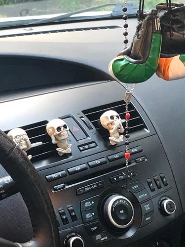 Customer photo review of Just Love Skulls Car Clips