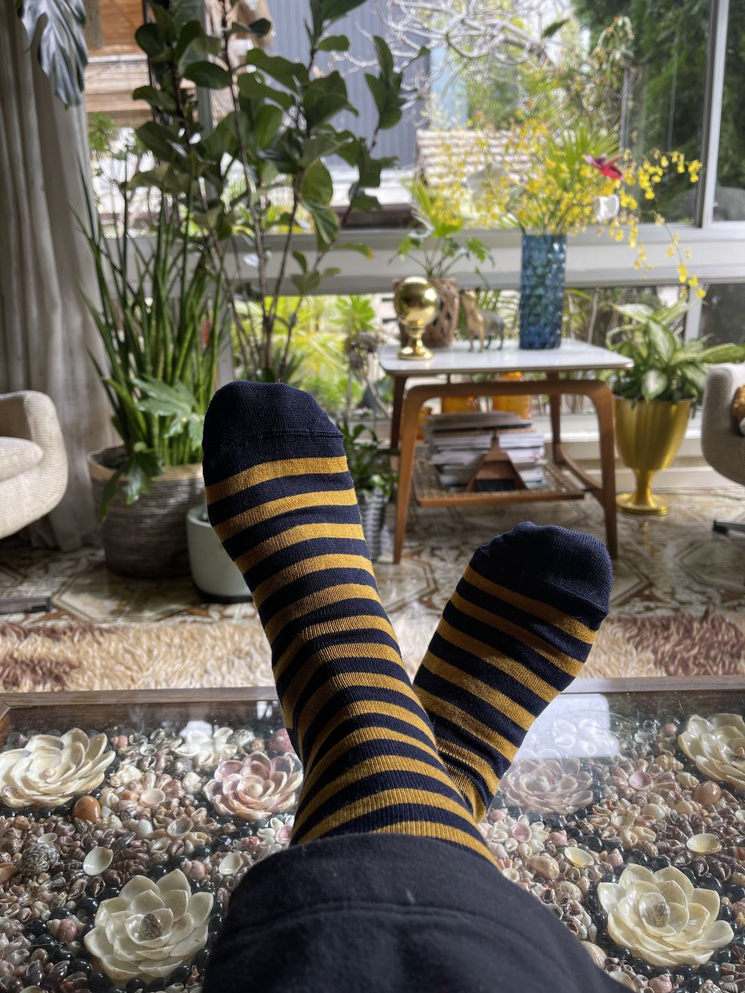 Customer photo review of Socks Mallow Stripe