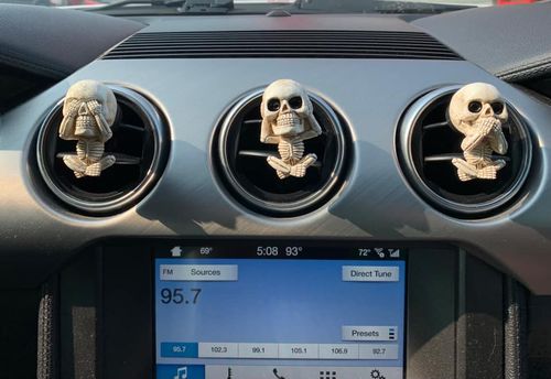 Customer photo review of Just Love Skulls Car Clips