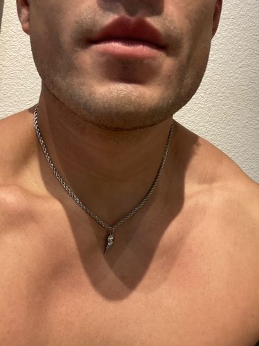Customer photo review of Wing (Silver)