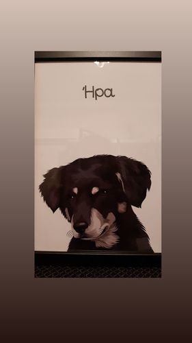 Customer photo review of Πορτραίτο Του Δικού Σας Κατοικίδιου - Πόστερ με κάδρο