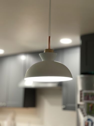 Customer photo review of Craftsman Style 1-Light Single Dome Pendant Light
