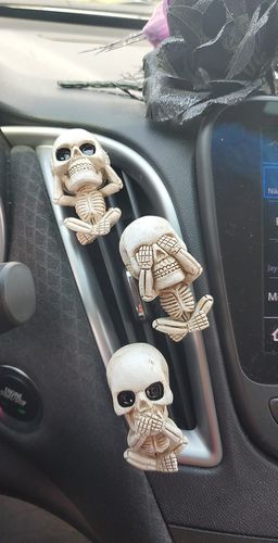 Customer photo review of Just Love Skulls Car Clips