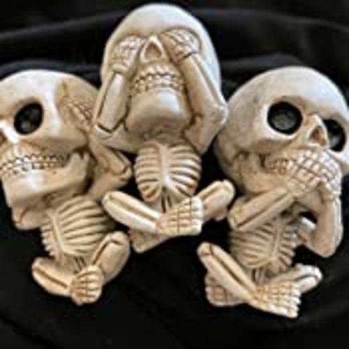 Customer photo review of Just Love Skulls Car Air Freshener Clips