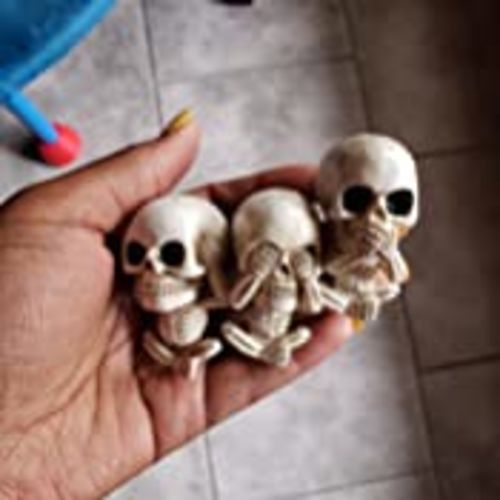 Customer photo review of Just Love Skulls Car Air Freshener Clips