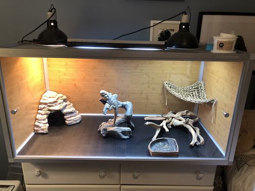 Customer photo review of 4'x2'x2' Wood Panel Reptile Enclosure by Zen Habitats