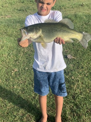 Customer photo review of Headbanger Spitfire 4.5"