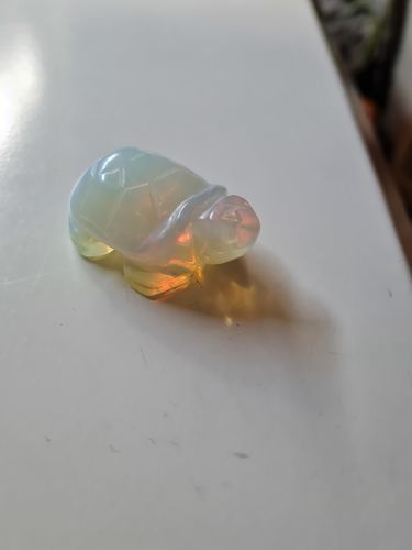 Customer photo review of Opalite Turtle