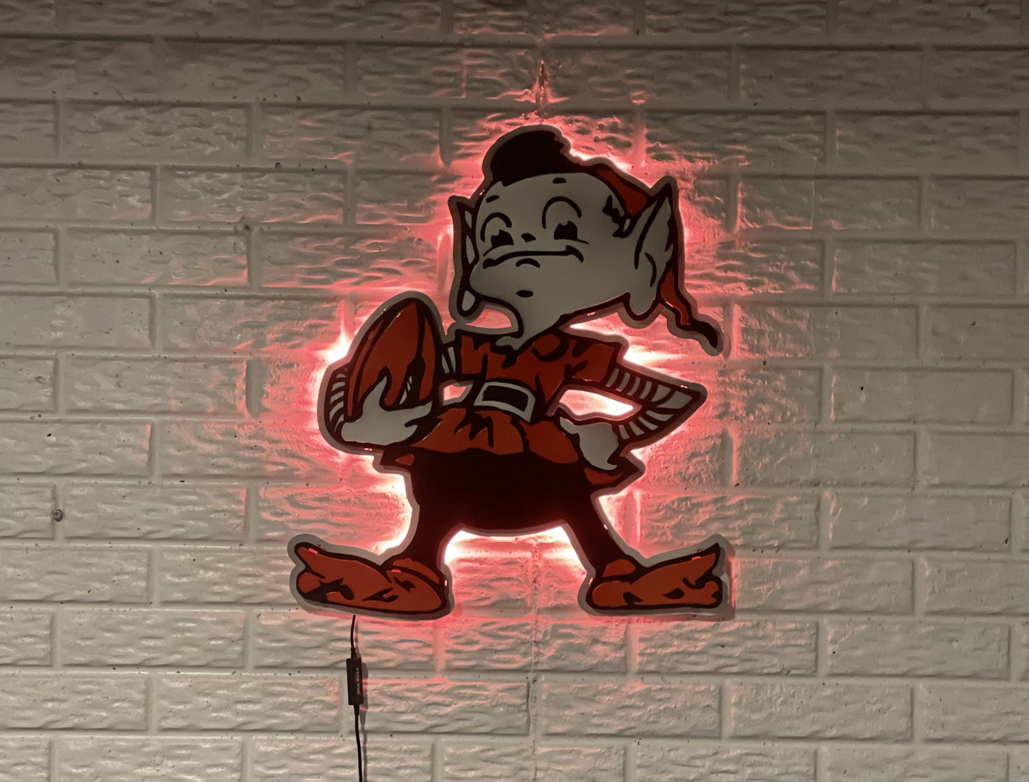 Customer photo review of Cleveland Browns "Brownie" 3D Vintage Metal Wall Art
